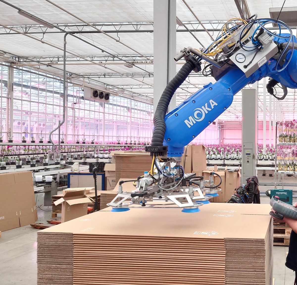 Maatwerk robotoplossing voor plano dozen verwerking