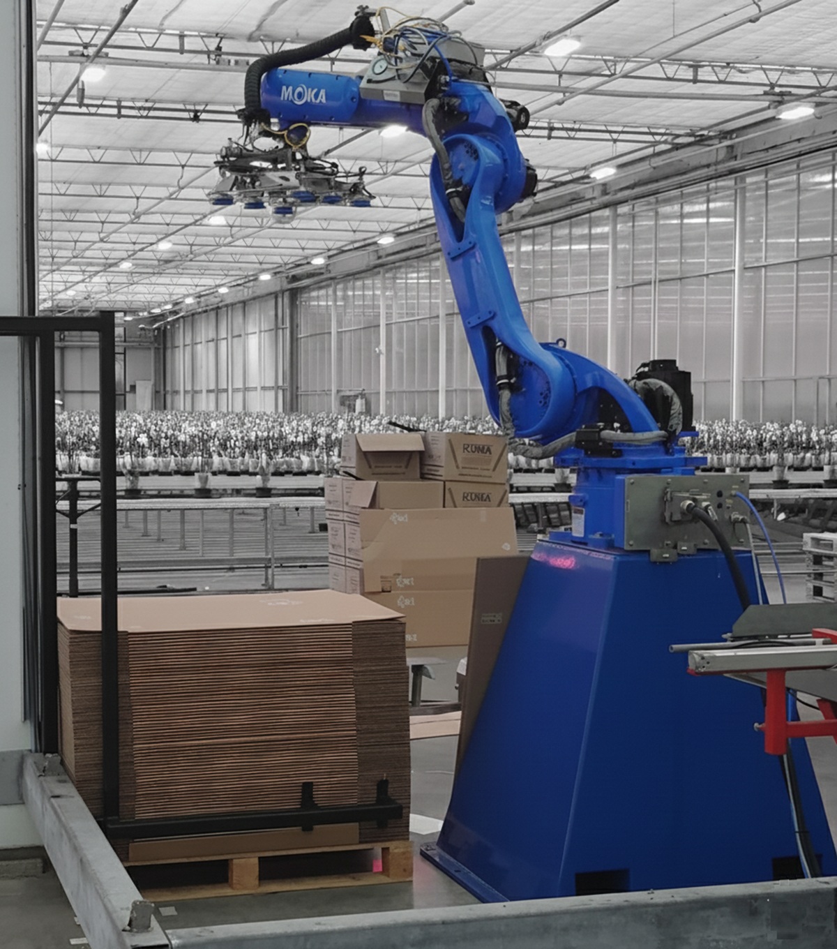 Automatische robot voor dozenopzet op rollenbaan